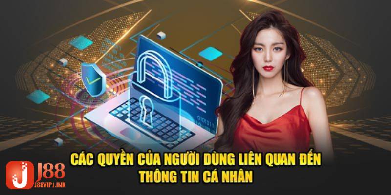 Các quyền liên quan đến người dùng